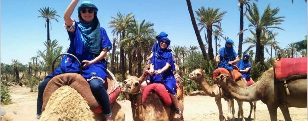 Best Marrakech camel Ride