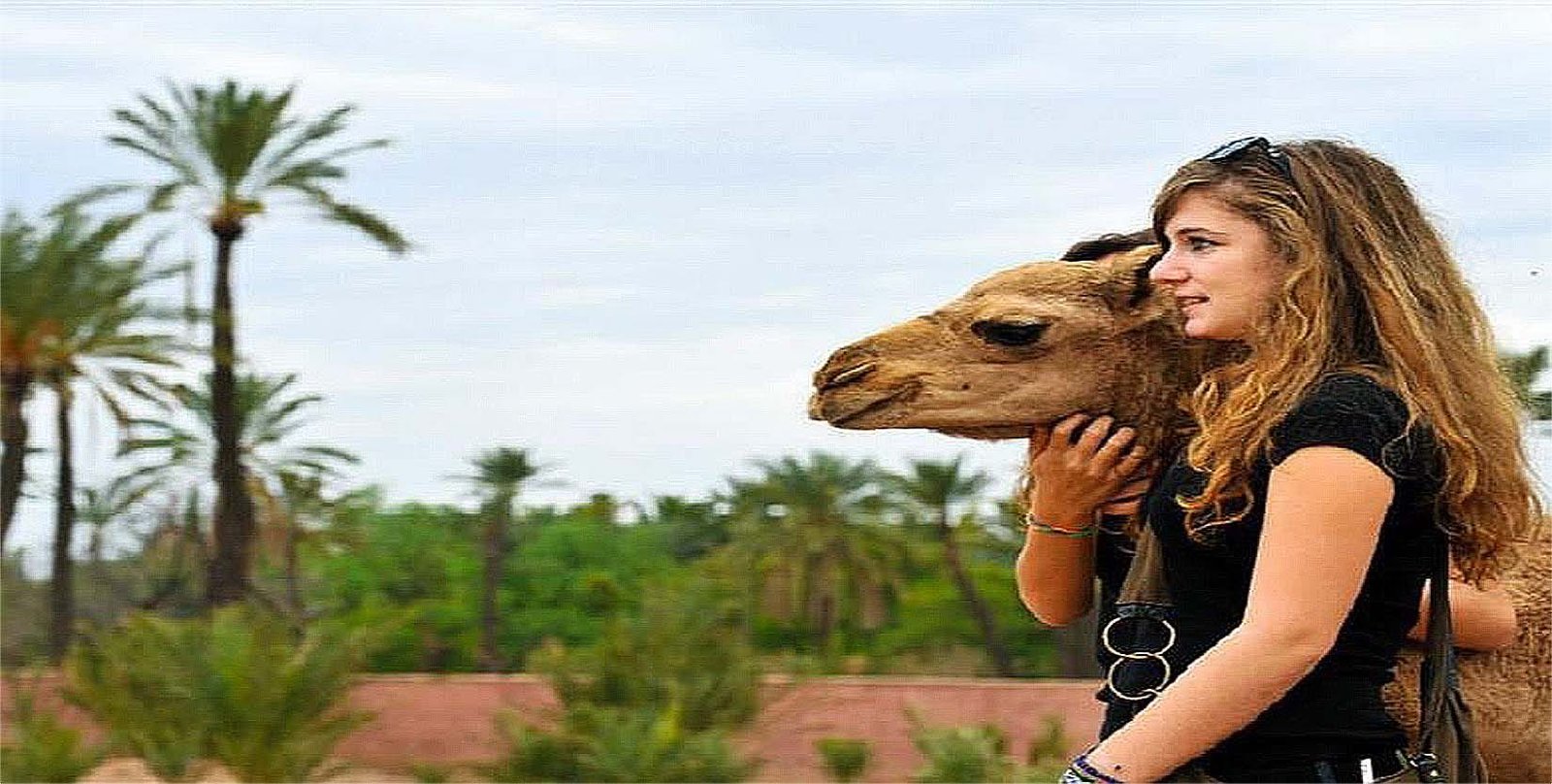 Camel ride experience in the Marrakech Palm Grove