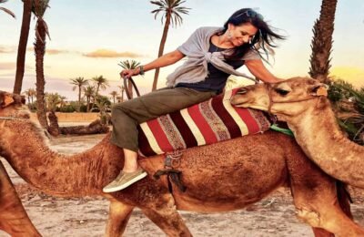 Camel ride in the Palmeraie Marrakech during a desert tour