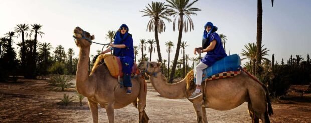 Camel ride in the Palmeraie of Marrakech during a 1-hour desert experience