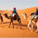 Camel Ride Marrakech desert tours to Merzouga