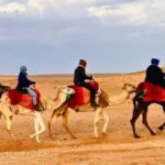 Camel ride tour in the Agafay Desert near Marrakech