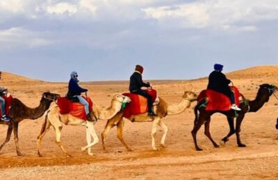 Camel ride tour in the Agafay Desert near Marrakech