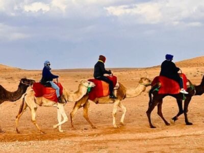 Camel ride tour in the Agafay Desert near Marrakech
