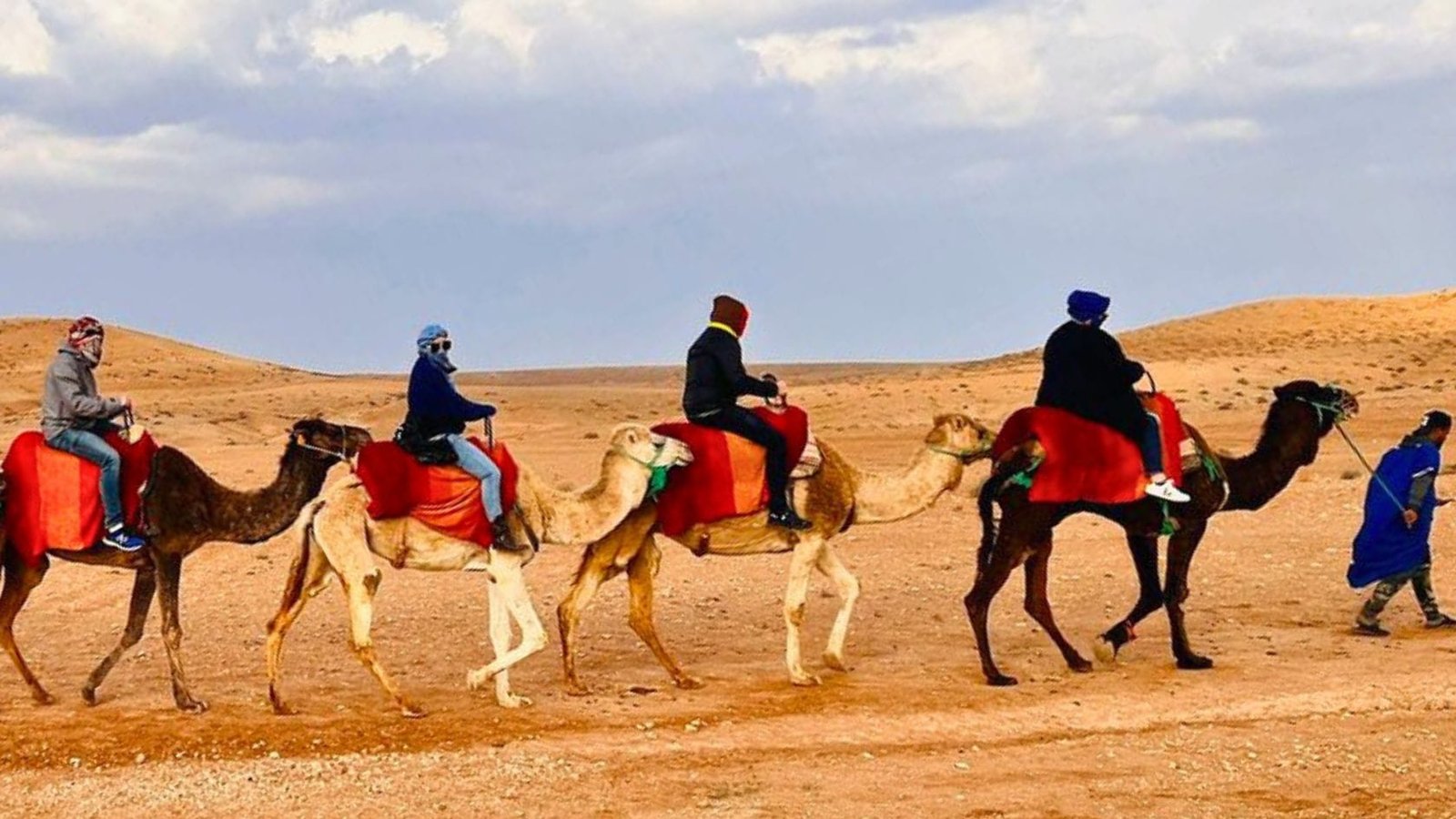 Camel ride tour in the Agafay Desert near Marrakech